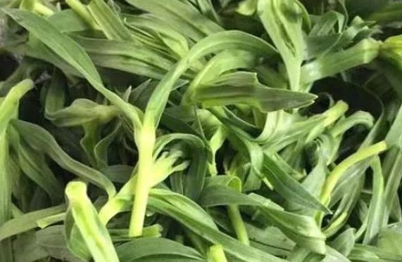 驱白巴布期片的作用_驱白巴布期有副作用吗_驱白巴布期片副作用