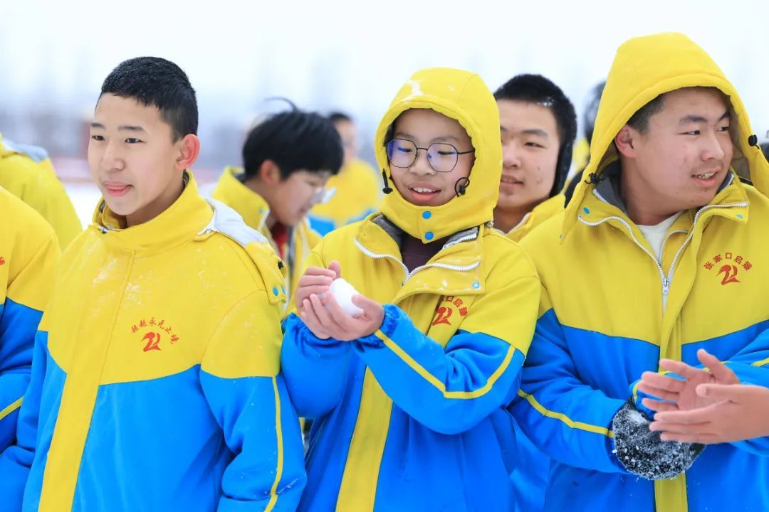 打雪仗游戏玩法_体育打雪仗游戏规则_体游打雪仗教案