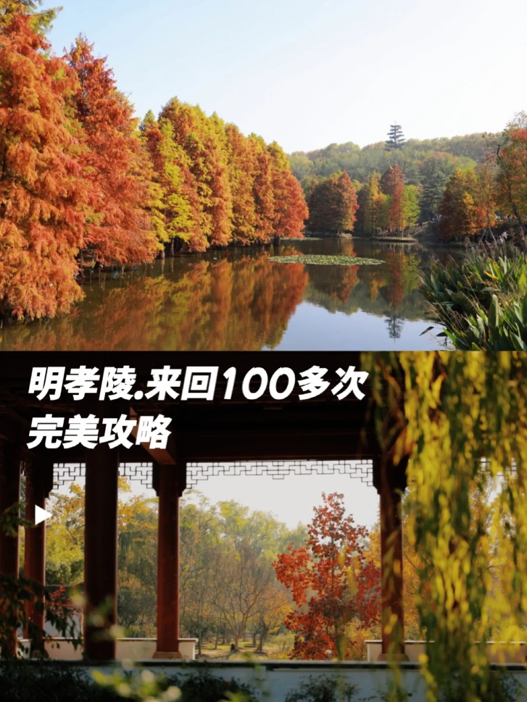 英雄志王小列停拍_没集到五福_五福星系列为什么没有继续拍